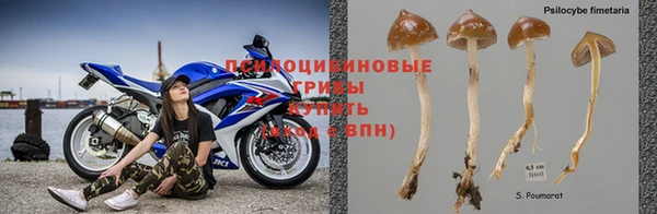 героин Вяземский