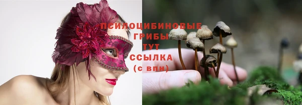 дмт Вязники