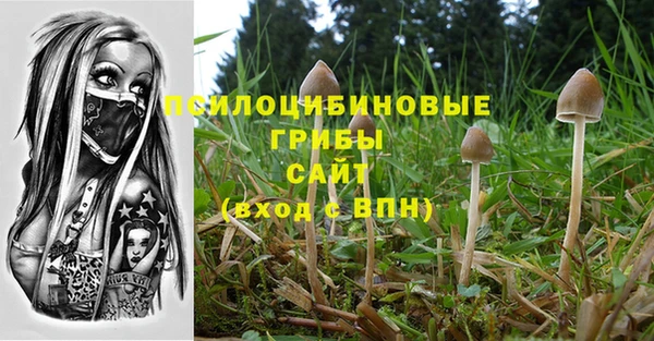 героин Вяземский